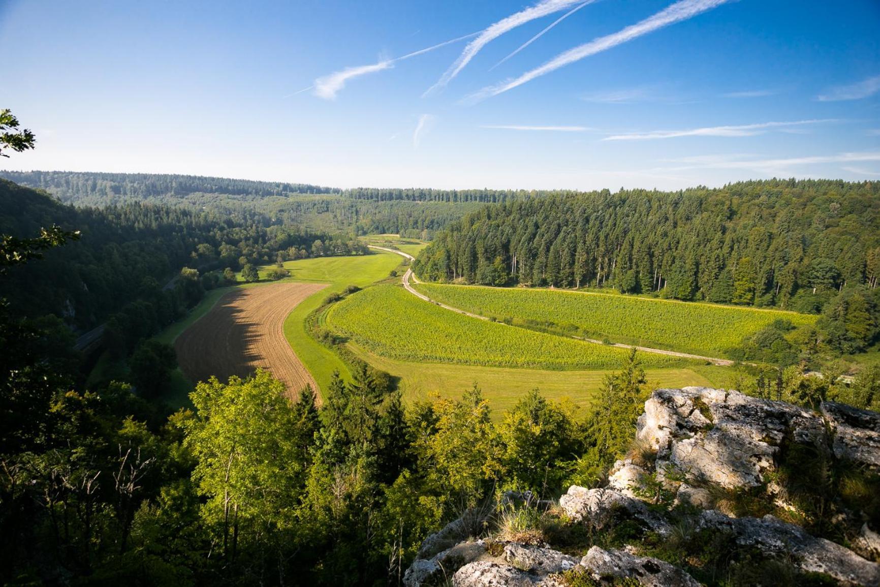 Haus Wiesengrund - Hundefreundlich Gammertingen Dış mekan fotoğraf